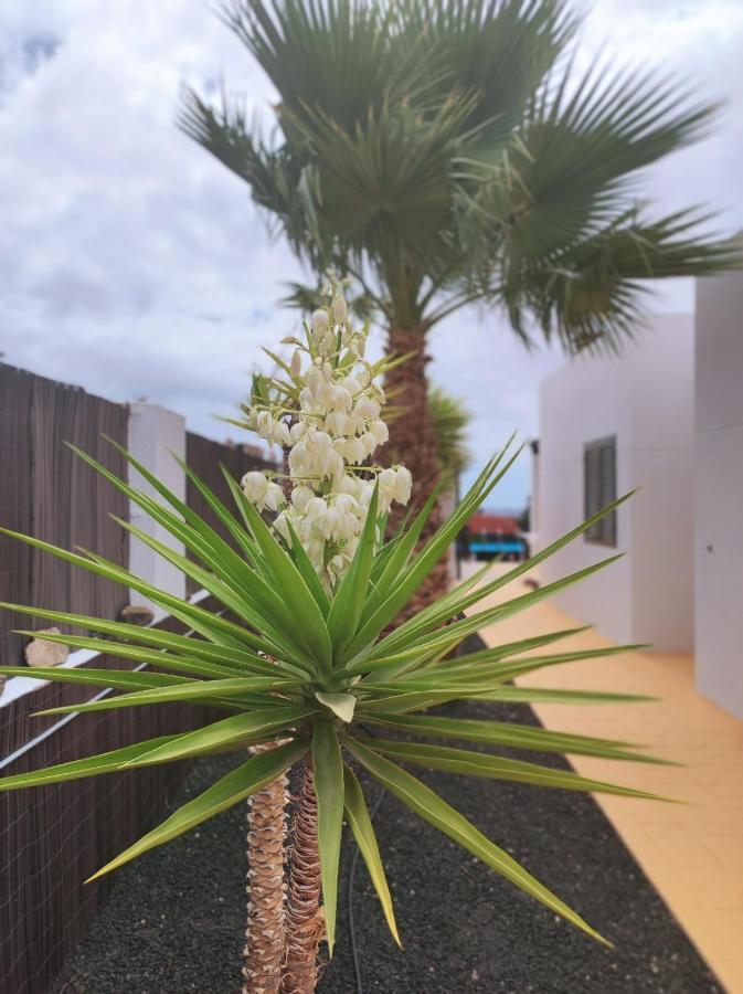 Casa Odett Villa Caleta De Fuste Eksteriør billede